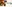 Glass Image Background