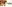 Glass Image Background