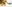 Glass Image Background