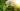 Glass Image Background