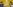 Glass Image Background