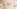 Glass Image Background
