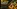 Glass Image Background