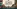 Glass Image Background