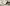 Glass Image Background