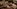 Glass Image Background