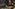 Glass Image Background