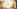 challenge banner image