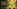 Glass Image Background