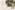 Glass Image Background