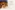 Glass Image Background
