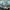 Glass Image Background