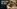Glass Image Background