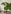 Glass Image Background