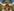 Glass Image Background
