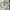 Glass Image Background