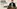 challenge banner image
