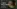 Glass Image Background