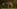 Glass Image Background