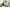 Glass Image Background