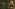 Glass Image Background