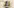 challenge banner image
