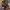 Glass Image Background