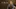 Glass Image Background