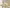 Glass Image Background