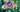 challenge banner image