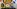 Glass Image Background
