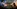 challenge banner image