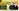 Glass Image Background