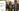 challenge banner image