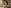 challenge banner image