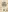 Glass Image Background