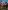 challenge banner image