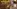 Glass Image Background