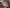 challenge banner image