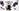 Glass Image Background
