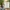 Glass Image Background