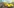 challenge banner image
