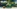 Glass Image Background