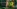 Glass Image Background