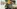Glass Image Background