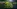 Glass Image Background