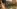 Glass Image Background