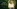 Glass Image Background