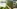 Glass Image Background