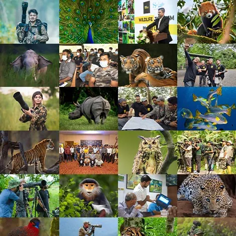 Uniting a Network of 100,000 Professionals